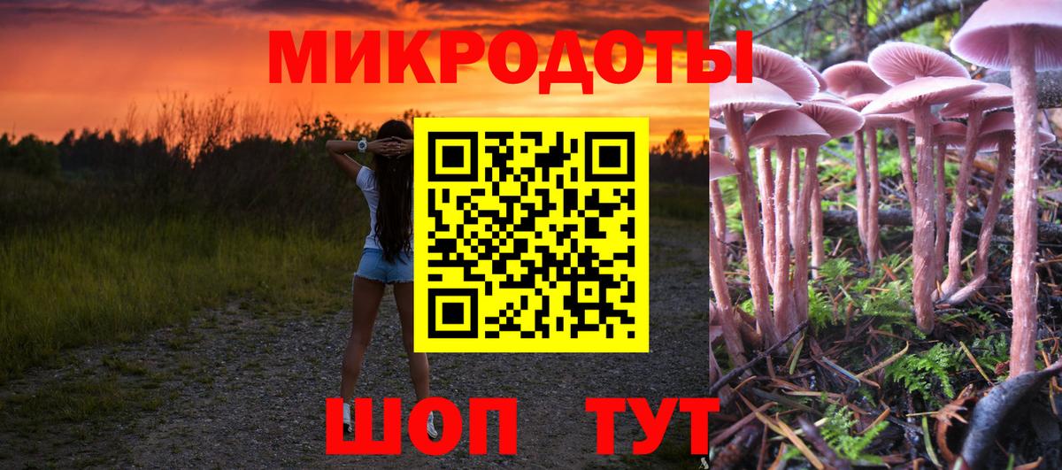 Псилоцибиновые грибы Psilocybe Набережные Челны