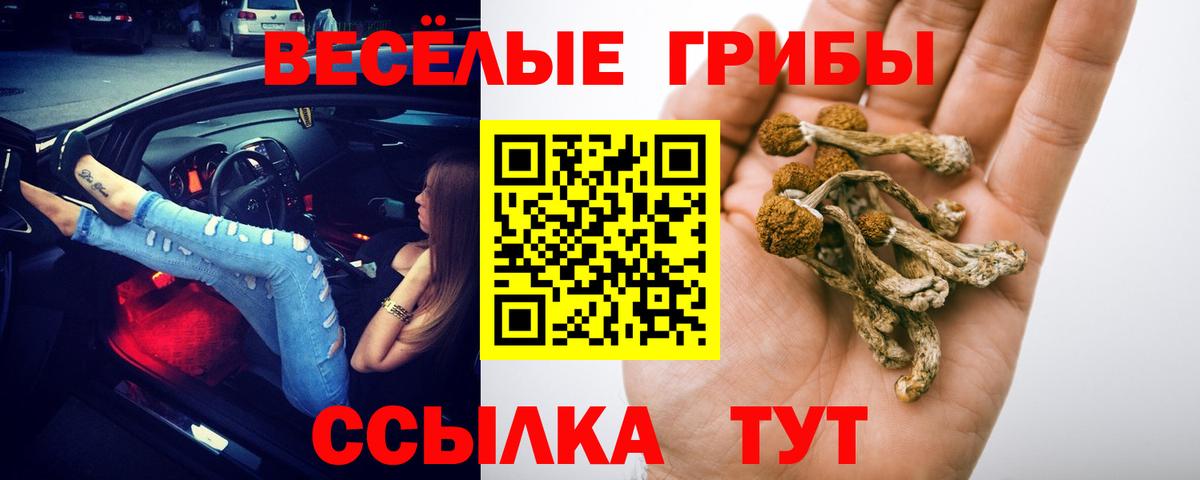 Галлюциногенные грибы Psilocybine cubensis  Вход с VPN  Набережные Челны 